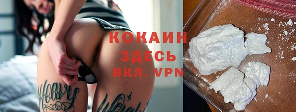 хмурый Аркадак