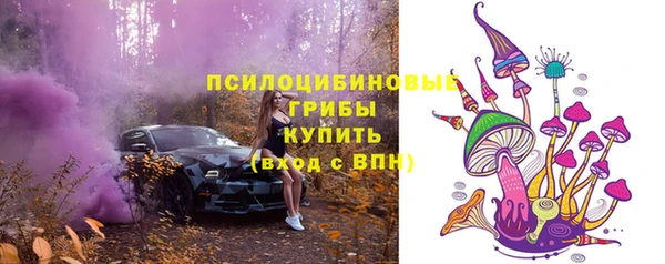 хмурый Арсеньев