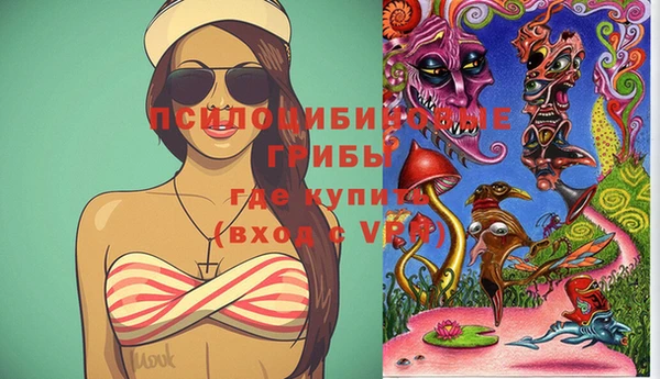 каннабис Новозыбков