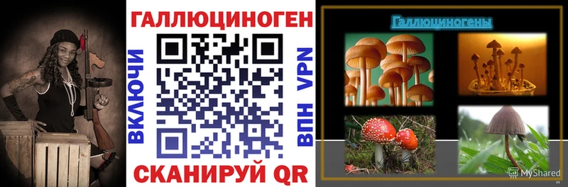 купить наркоту  Алушта  Галлюциногенные грибы Cubensis 